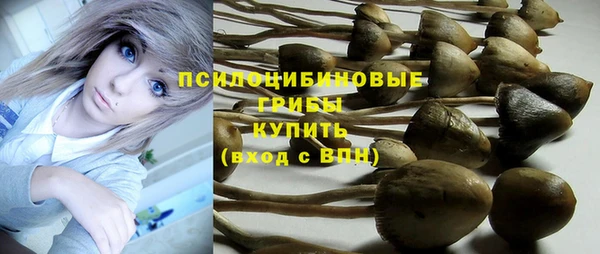 Альфа ПВП Баксан