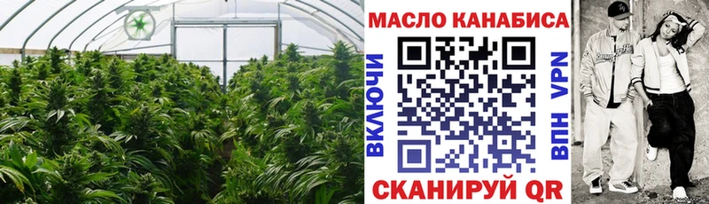 Купить закладки  Кукмор  Дистиллят ТГК концентрат 