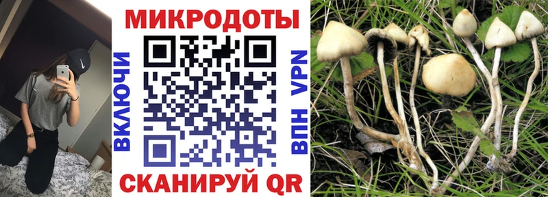 Купить закладки  Кукмор  Галлюциногенные грибы прущие грибы 